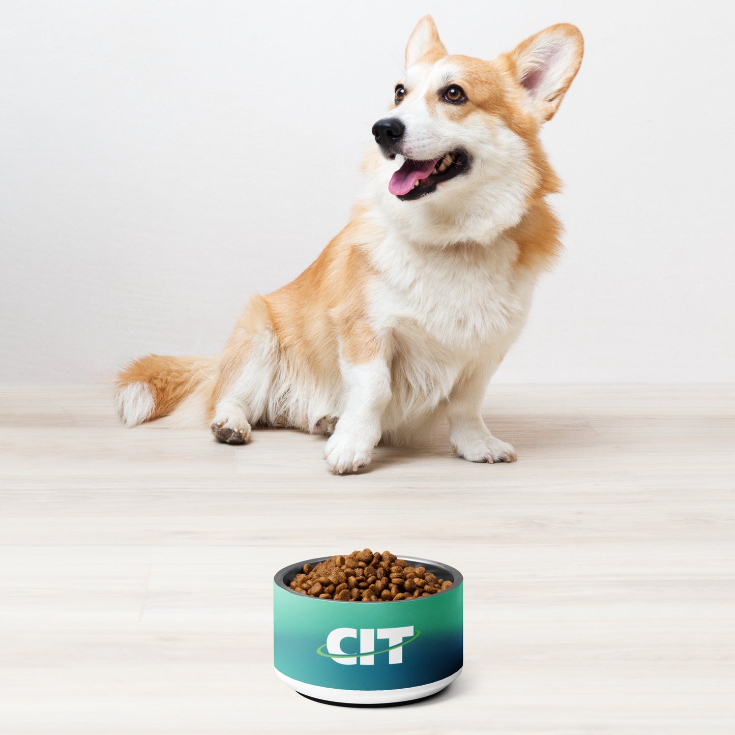 CIT Gradient Pet bowl