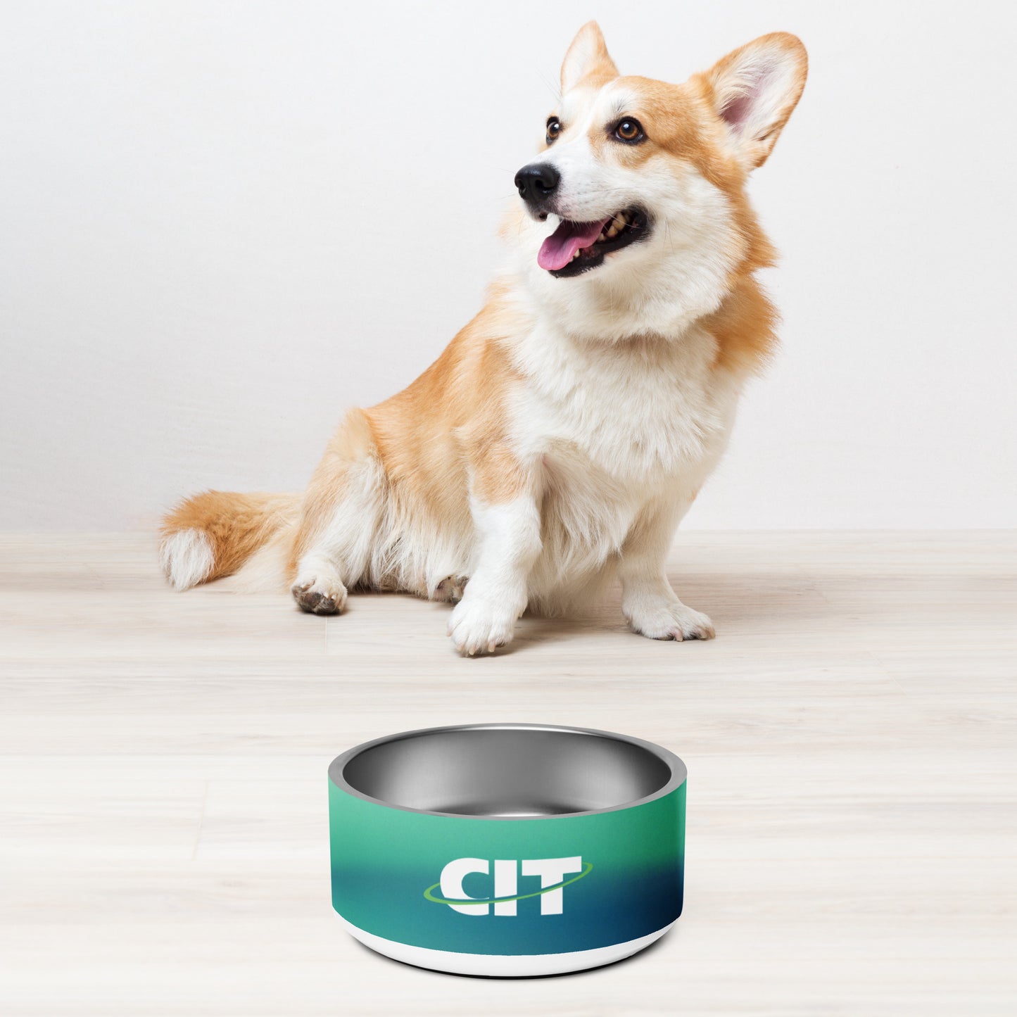 CIT Gradient Pet bowl