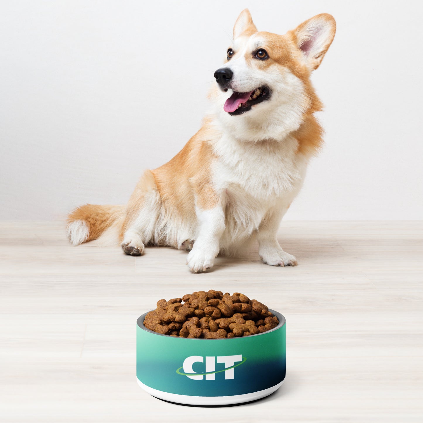 CIT Gradient Pet bowl